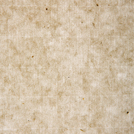 70年代十竹斋制木版水印尺八屏大画笺(竹，单张) 商品图11