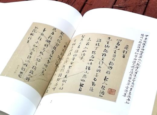 特惠！！《海纳百川：林则徐的精神世界》，精装，布面函套，大8开，全2册，黄捷编，中国美术学院出版社2020年一版一印， 292+241页，定价1280，售价188元。 商品图8