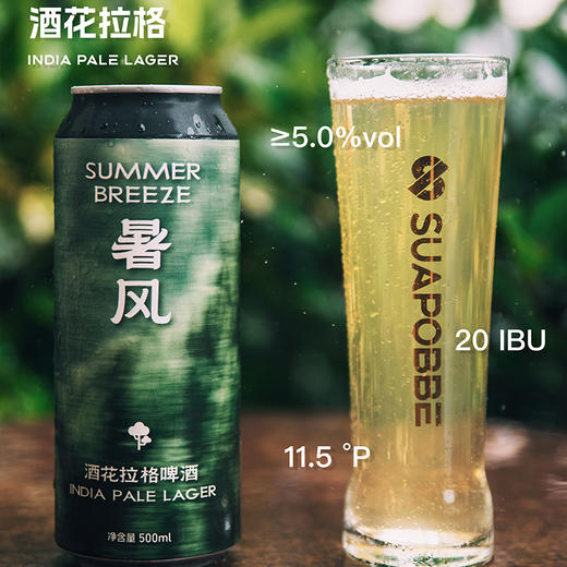 【冷库储存】沙坡尾啤酒 新品暑风酒花拉格/雾汀意大利皮尔森国产精酿 500ml 商品图2