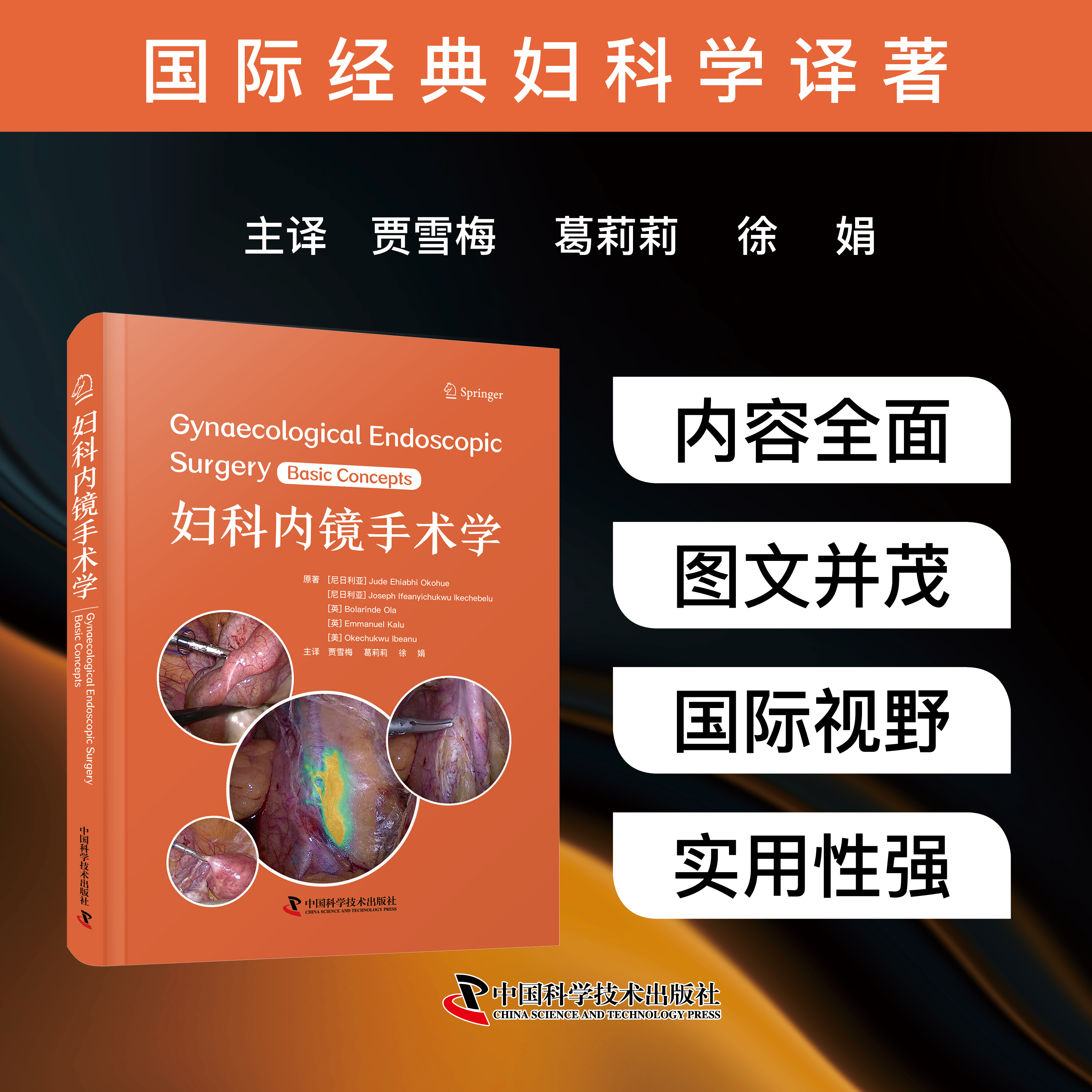 妇科内镜手术学 国际经典妇科学译著（助力医务工作者掌握妇科内镜诊疗技术，提升诊治水平的实用指南）