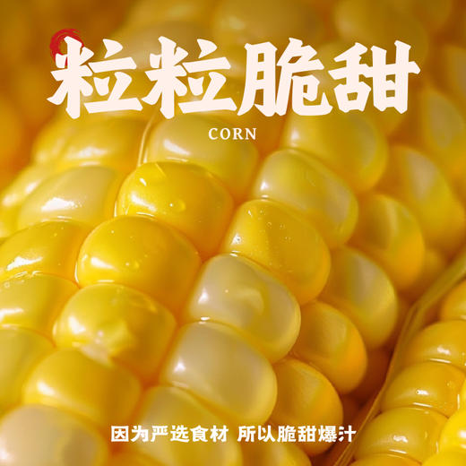 袁记味享巨无霸大云吞 组合 玉米鲜肉/鲜肉云吞 250g/盒（4盒装/6盒装）【暖男严选】 商品图1