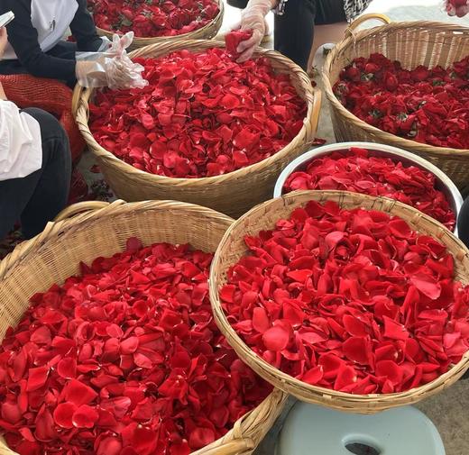 【包邮】云南买来洋 玫瑰清露 | 桑葚醋 商品图7