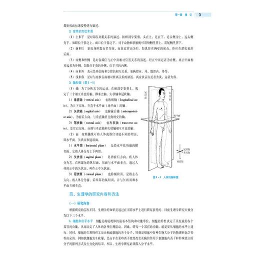 人体解剖生理学（第4版）（全国高等医药院校药学类专业第六轮规划教材） 商品图4