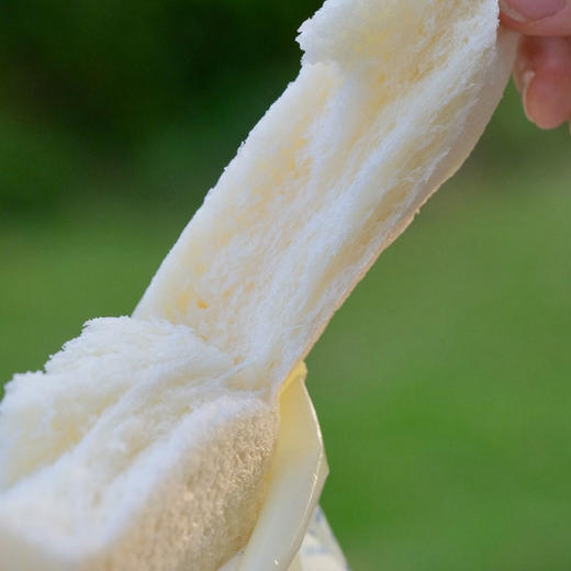 [屁侠推荐]江小燕巴氏鲜乳云朵吐司 450g/盒（6包） 面包早餐 商品图4