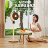 遥控八字摇头循环扇SF2302Y-XF606 商品缩略图5