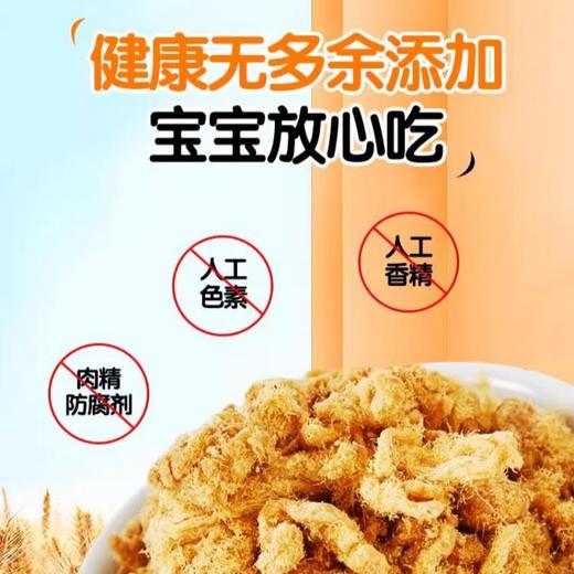 金安记儿童肉松113g（原味） 商品图2