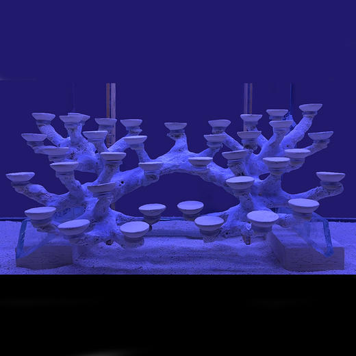 幽影90缸海缸造景成品树枝状造景悬浮款鱼缸装饰海水鱼珊瑚造景 商品图4