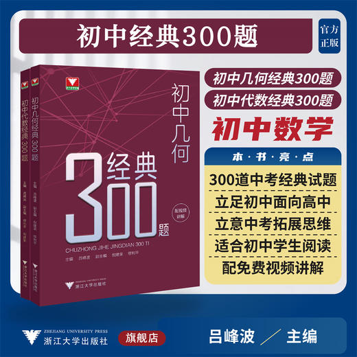 初中经典300题系列 商品图0
