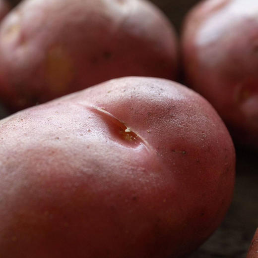 云南高原红皮黄心土豆 商品图2