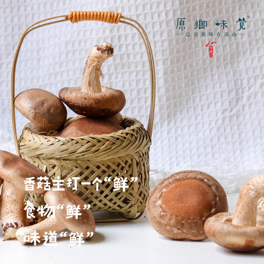 【3天左右发】有机鲜香菇（基地直发-顺丰包邮）| 来自广东“四只瓢虫”韶关基地，生产者：李志【合作生产，公平贸易】 商品图1
