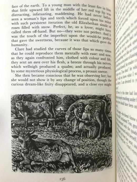 托马斯·哈代作品集（全6卷）（1991） 百余幅木版画插图 精装18开带书匣 商品图10