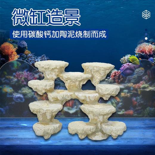 微缸烧制款海水鱼缸造景免暴藻引菌水族鱼缸装饰摆件定制 商品图0