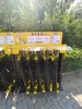 透明PC挡雨板（6槽和5槽） 商品缩略图1