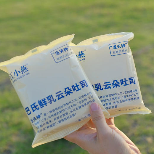 [屁侠推荐]江小燕巴氏鲜乳云朵吐司 450g/盒（6包） 面包早餐 商品图5