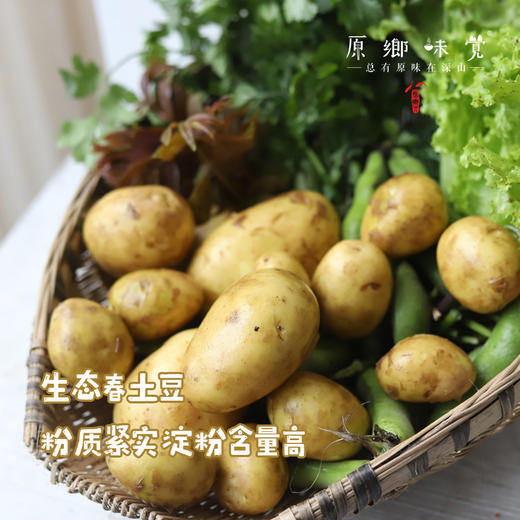 生态茄子（农场直发-顺丰包邮）| 3斤装，来自成都郫都【原乡农场，自产自销】 商品图9