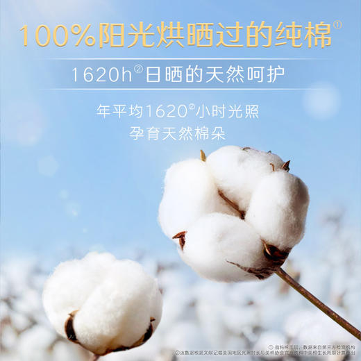 高洁丝迷你卫生巾护垫10片装纪念日百货163497672 商品图2