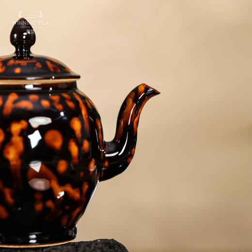 问鼎虎斑天目清留壶 商品图1