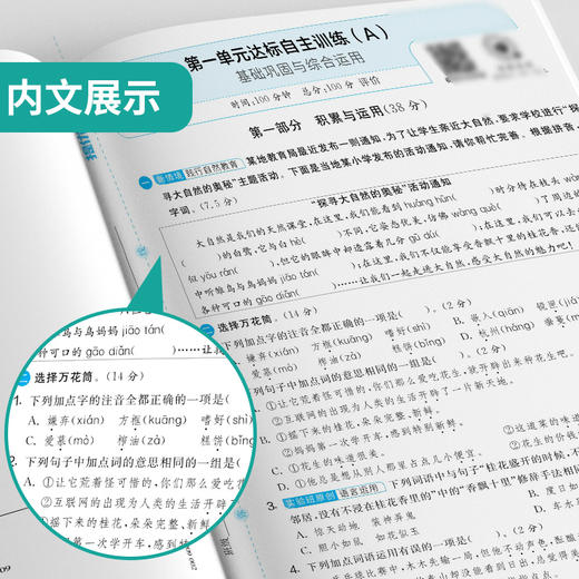 2025秋【人教版】五年级语文(上) 实验班提优大考卷 5年级 商品图3