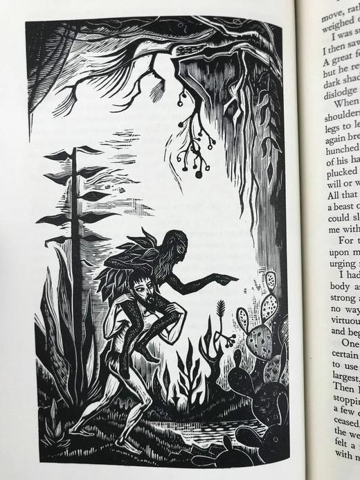 一千零一夜（全4卷） 数十幅木版画插图 精装16开带书匣 商品图14