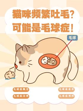 猫咪频繁吐毛❓可能是毛球症❗❗❗