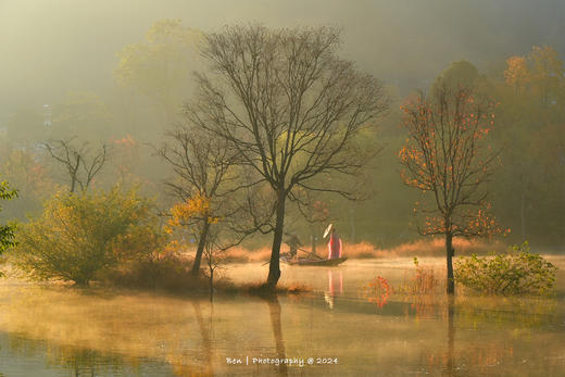 大别山秋色丨罗田水中红叶&柿子古村、大悟乌桕红叶、钱冲古银杏群落6天摄影团 商品图10