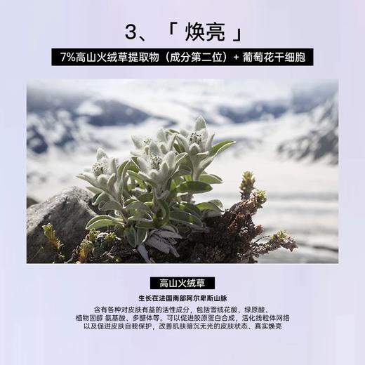 CLINSIS多维焕光涂抹面膜（+配面膜刷） 120g 海茴香面膜保湿舒缓抗氧化抗糖化涂抹面膜 商品图3