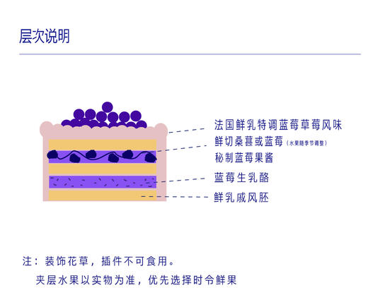 蓝莓花语 商品图2