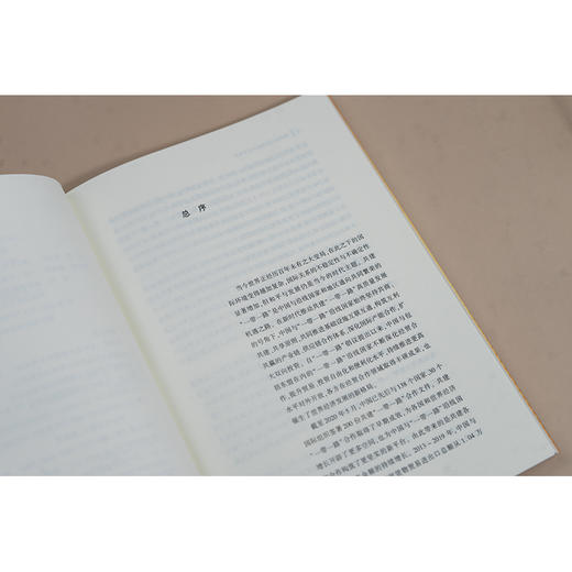 越南外商投资法律实务指南 张晓君 法律出版社 商品图4