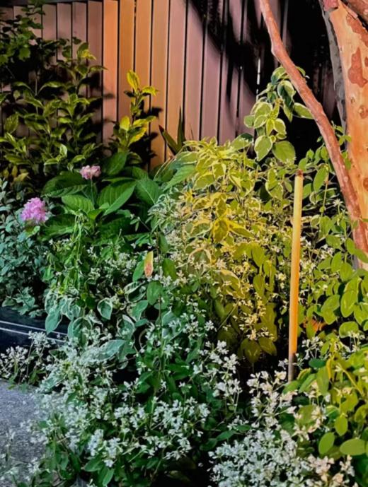 🌟【兰序艾草棒棒香】夏季户外驱蚊必备神器🔥植物艾草，让蚊虫🦟无处可逃❗️❗️无毒无害无激素，母婴可用❗️❗️五分钟见效，给你户外长效持久的防护 商品图6