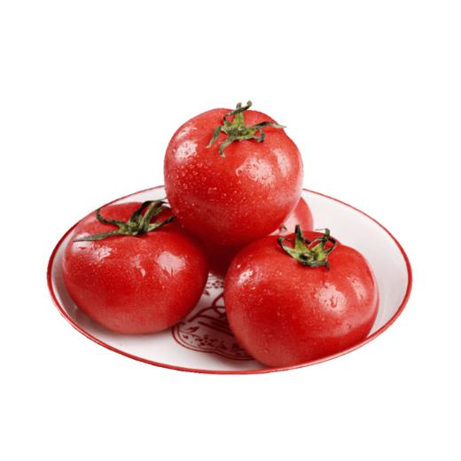 【直播专享】普罗旺斯水果西红柿 商品图0