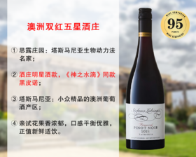 【配额促销，整箱更优惠】《神之水滴》同款：思露庄园春意黑皮诺干红（2023年）