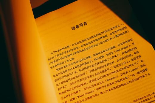 《德国民法典》及其原则：任务、对策与成效——中国民法典评注·评注研究（第2部）|赠讲座 商品图3