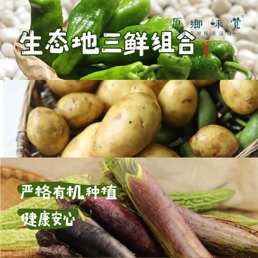 生态茄子（农场直发-顺丰包邮）| 3斤装，来自成都郫都【原乡农场，自产自销】 商品图8