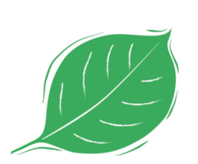  夏日解暑药，你用对了吗？