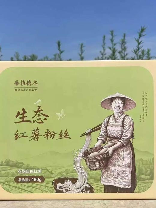 生态红薯粉丝，60gx8包 熟食，便携带 可泡可煮 商品图3