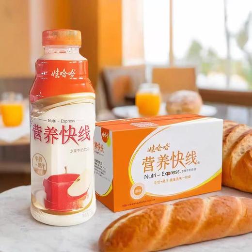娃哈哈营养快线原味 500ml*15瓶 商品图1