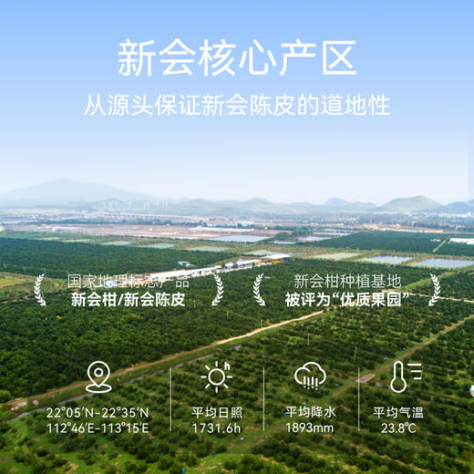 基地直发| 新会陈皮50g/罐 | 世纪茗家 商品图4