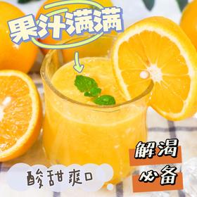 秭归脐橙夏橙5斤大果