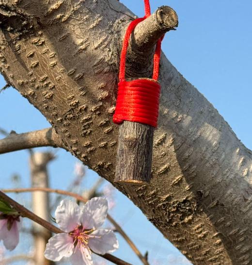 【新增桃木挂坠】【奕虹合作的山东秋桃基地的老桃木制作真桃木配饰系列-12年老桃木制作】满满寓意 一个集实用性、艺术性与深厚精神内涵于一身的吉祥符号 商品图7