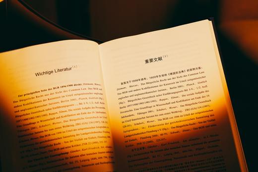《德国民法典》及其原则：任务、对策与成效——中国民法典评注·评注研究（第2部）|赠讲座 商品图7