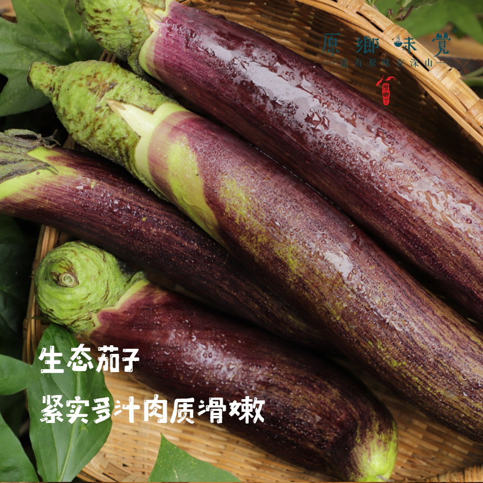 生态茄子（农场直发-顺丰包邮）| 3斤装，来自成都郫都【原乡农场，自产自销】