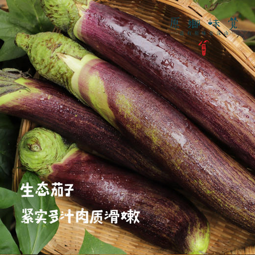 生态茄子（农场直发-顺丰包邮）| 3斤装，来自成都郫都【原乡农场，自产自销】 商品图0