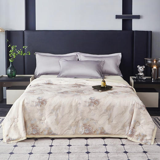 金丝莉（KINTHERI） 墨香纯蚕丝被 JB-1380 200*230cm 商品图0