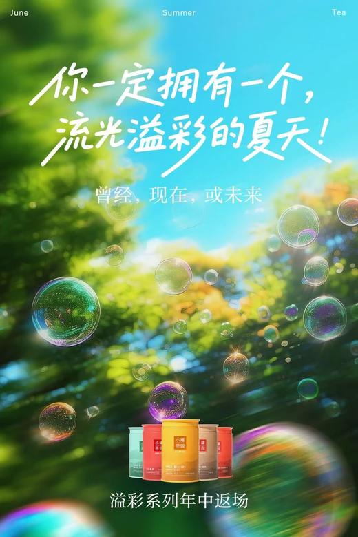 小罐茶园溢彩系列普洱熟茶60g2罐+大红袍茶40g2罐+滇红茶55g2罐【发中通物流】搭配咖色礼盒和手提袋哦适合自饮和送人 商品图8