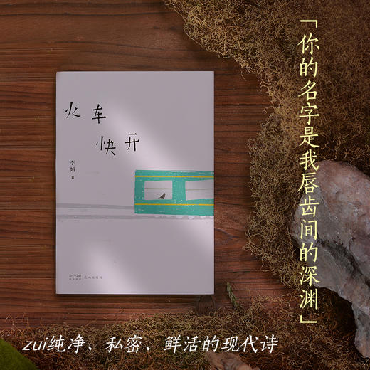 火车快开 夕阳有黄金，天空有大海！我的阿勒泰作者李娟仅有的诗集，乘火车进入李娟婉转细腻的心灵世界 花城出版社正版书籍 商品图1