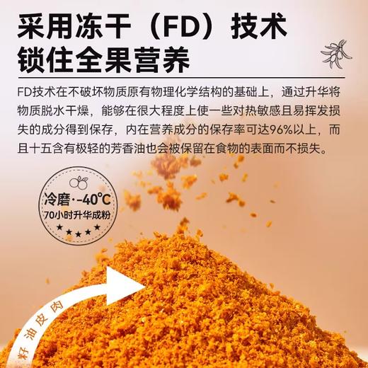 吉萃元·有机冻干沙棘全果粉·160g  不提油不提籽 全果全健康 商品图4
