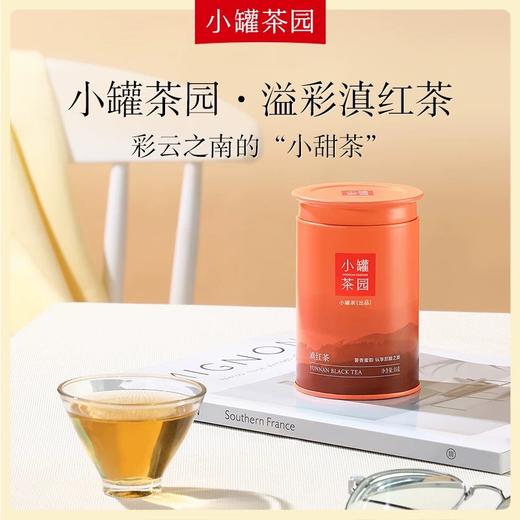 小罐茶园溢彩系列普洱熟茶60g2罐+大红袍茶40g2罐+滇红茶55g2罐【发中通物流】搭配咖色礼盒和手提袋哦适合自饮和送人 商品图13