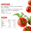 欣和禾然有机番茄沙司 330g/瓶  全国配送 （偏远地区除外） 商品缩略图7