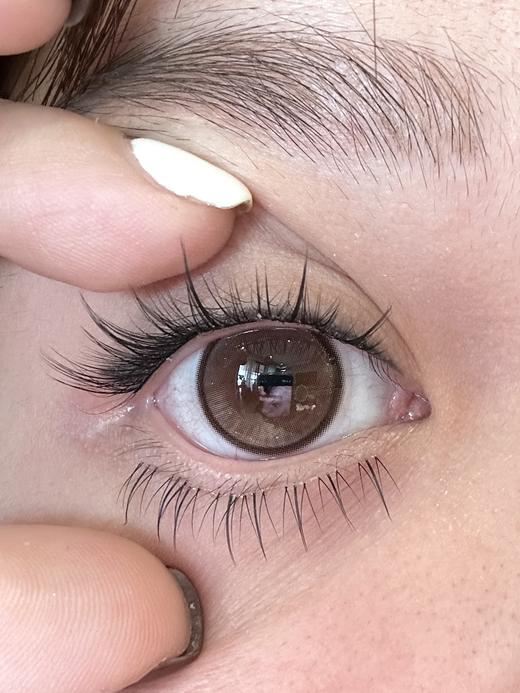 EallaGirl月抛美瞳 奶杏小熊 14.2mm 商品图0