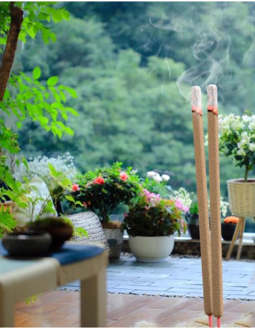 🌟【兰序艾草棒棒香】夏季户外驱蚊必备神器🔥植物艾草，让蚊虫🦟无处可逃❗️❗️无毒无害无激素，母婴可用❗️❗️五分钟见效，给你户外长效持久的防护 商品图0